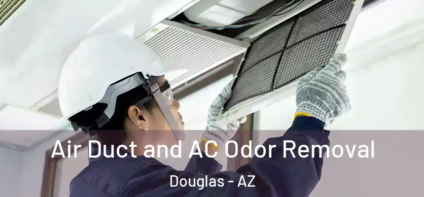  Air Duct and AC Odor Removal Douglas - AZ