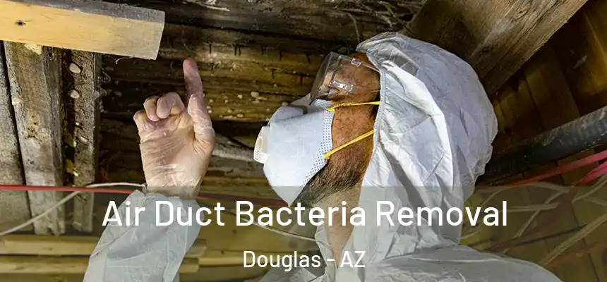 Air Duct Bacteria Removal Douglas - AZ
