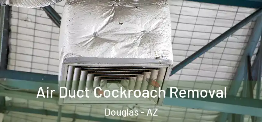  Air Duct Cockroach Removal Douglas - AZ