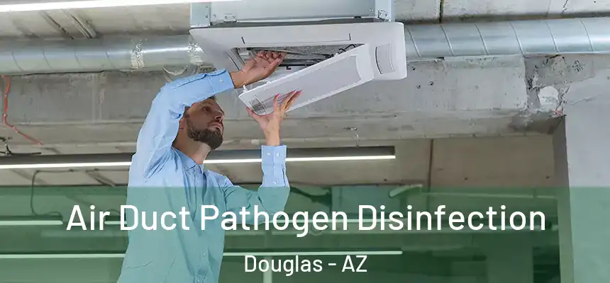 Air Duct Pathogen Disinfection Douglas - AZ
