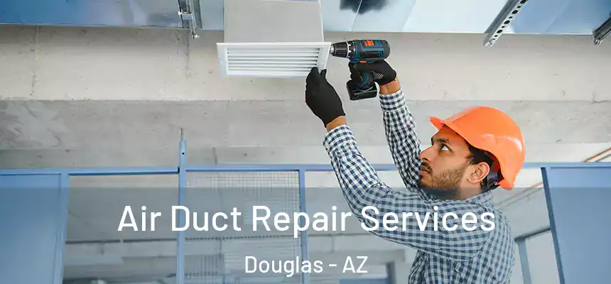 Air Duct Repair Services Douglas - AZ