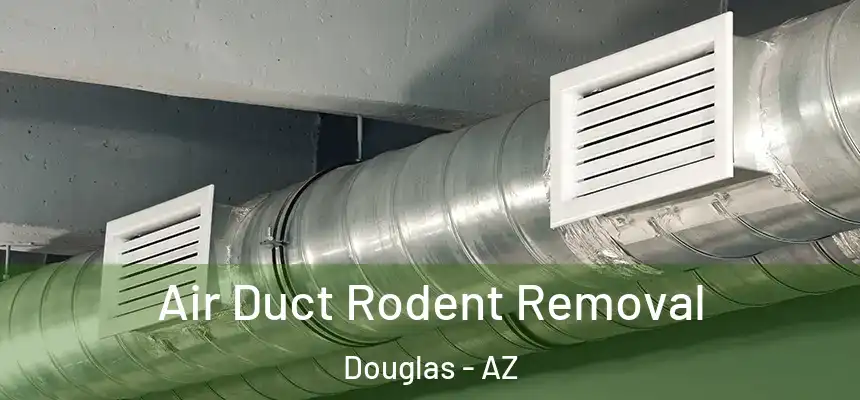  Air Duct Rodent Removal Douglas - AZ