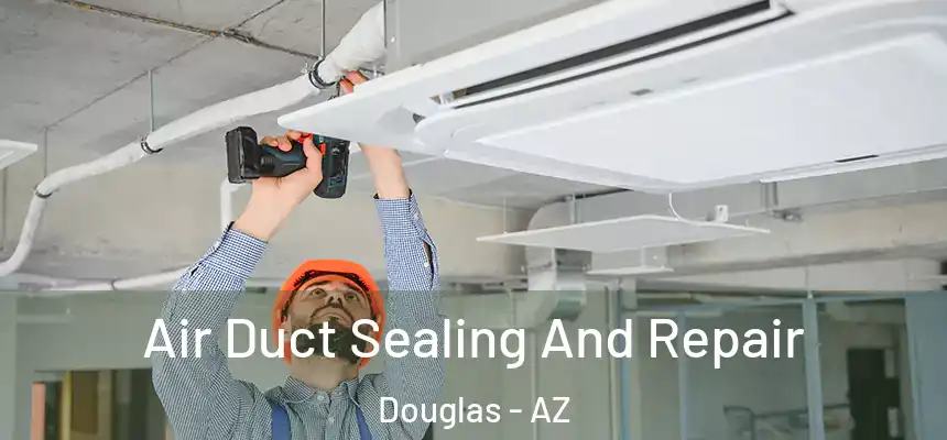  Air Duct Sealing And Repair Douglas - AZ