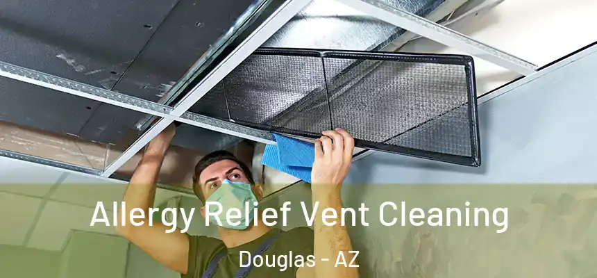 Allergy Relief Vent Cleaning Douglas - AZ