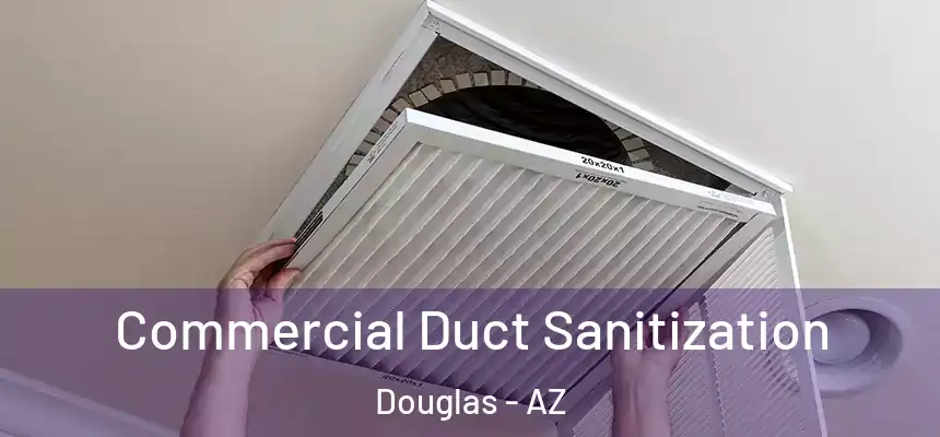  Commercial Duct Sanitization Douglas - AZ