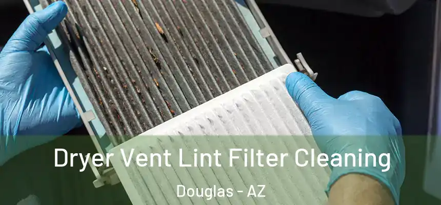  Dryer Vent Lint Filter Cleaning Douglas - AZ
