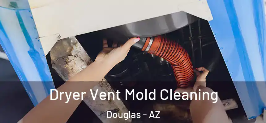  Dryer Vent Mold Cleaning Douglas - AZ