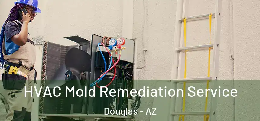  HVAC Mold Remediation Service Douglas - AZ