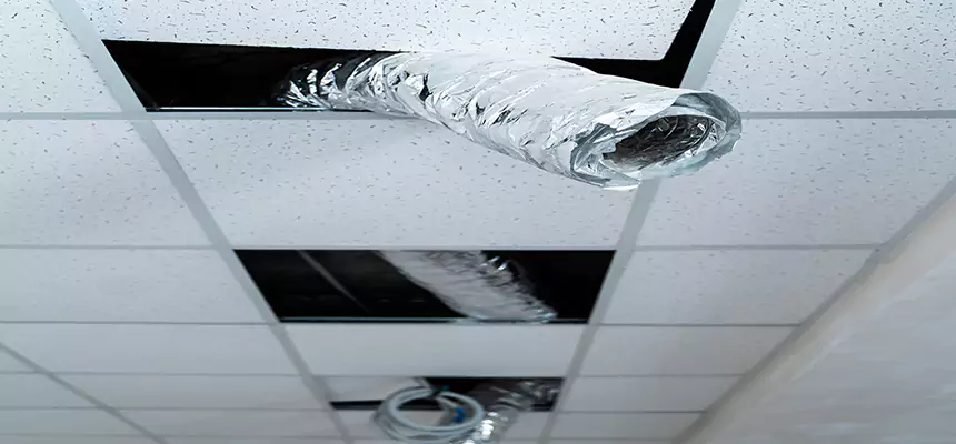 Our Air Duct Pet Hair Removal Services in Douglas, AZ