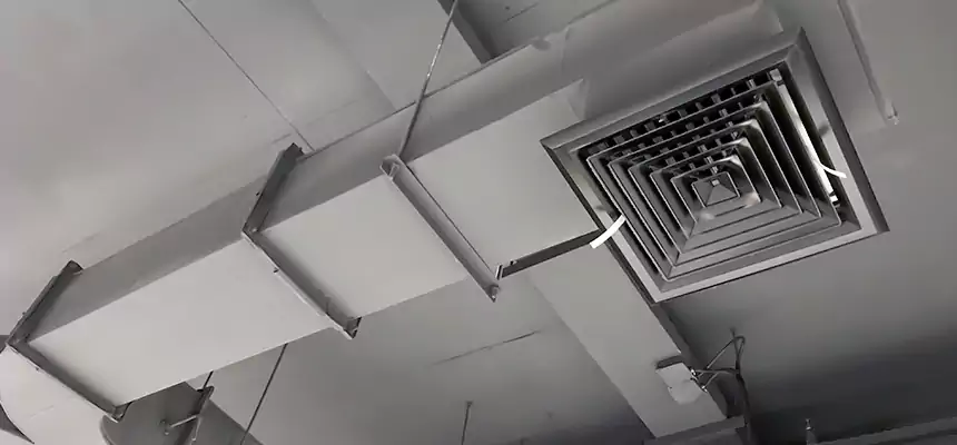 Restorative Allergy Relief Vent Cleaning – Coil, Blower & Housing Detail in Douglas