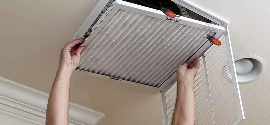 Our Insect Removal from Air Ducts Services in Douglas, AZ