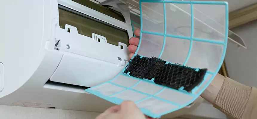 Gentle Ductwork Odor-Control Pet Dander Duct Cleaning in Douglas, AZ