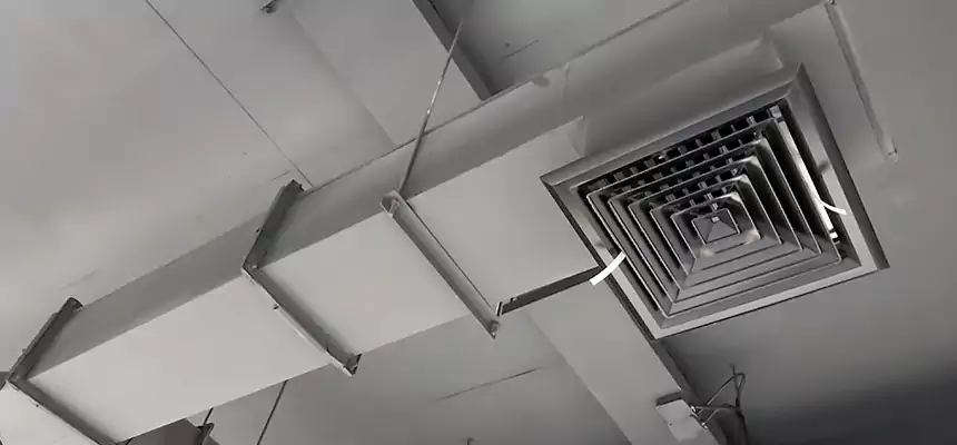 Our Rodent Droppings In Vents Services in Douglas, AZ