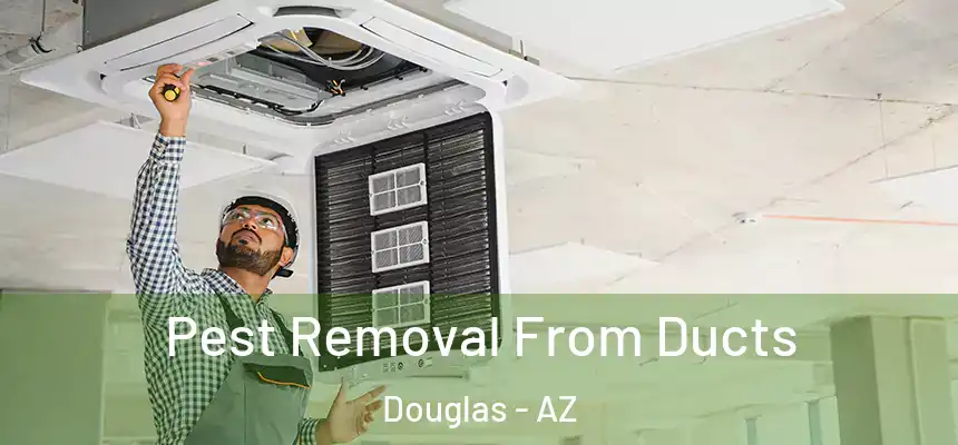  Pest Removal From Ducts Douglas - AZ