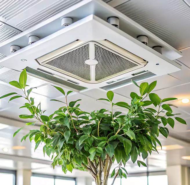 Why Homeowners & Businesses Trust Us in Douglas, AZ