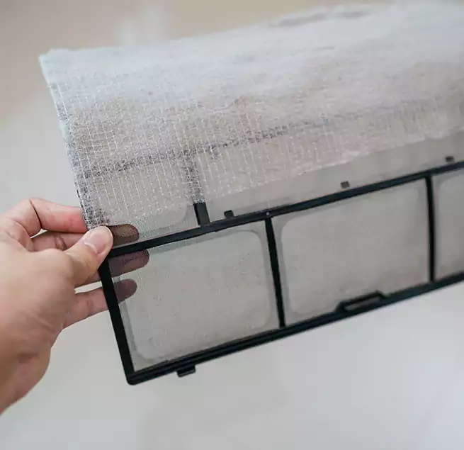 Why Homeowners & Businesses Trust Us in Douglas, AZ?