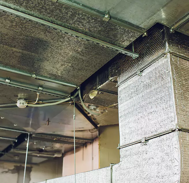 Why Homeowners & Businesses Trust Us in Douglas, AZ?